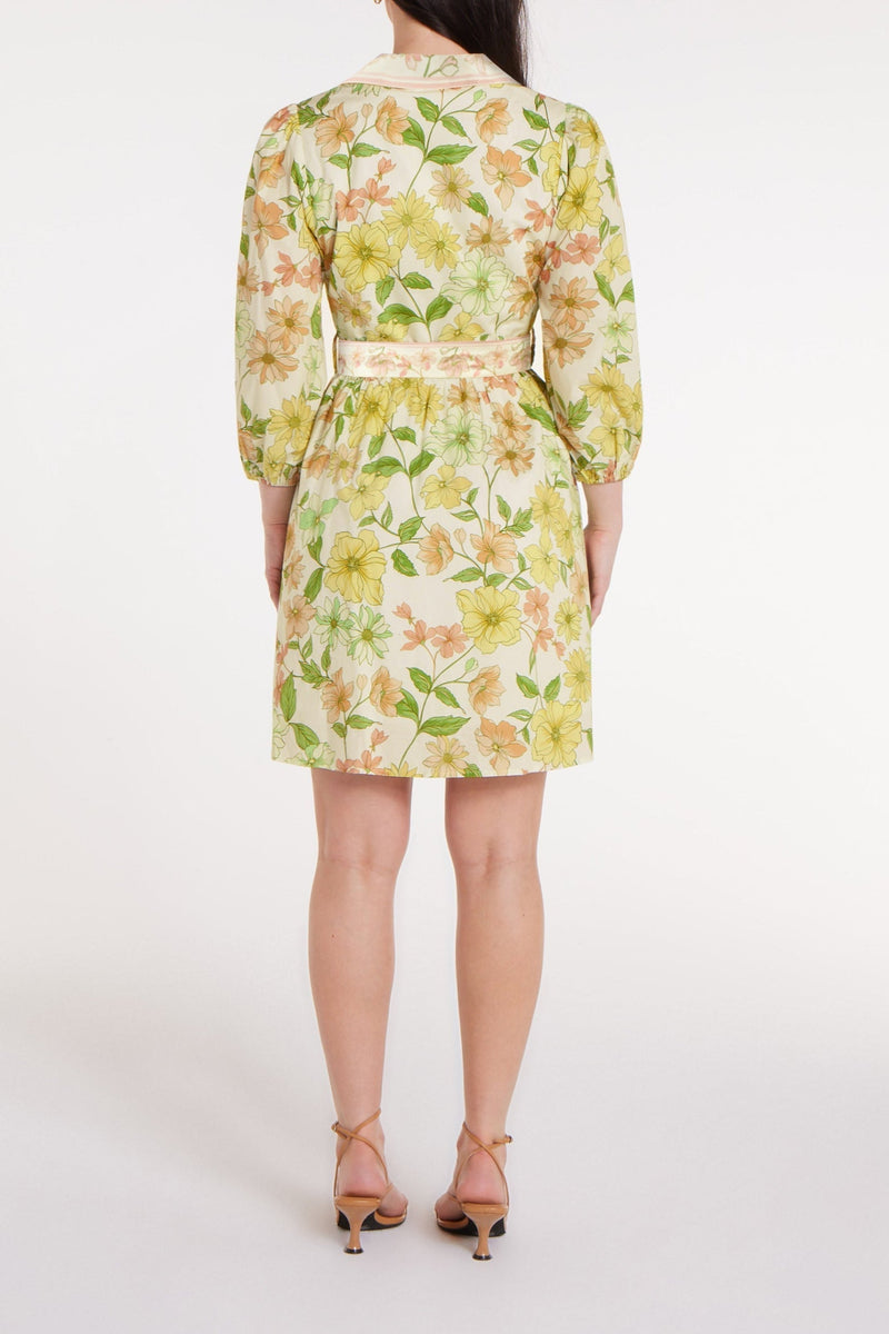 Halle Mini Dress in Sights of Springs