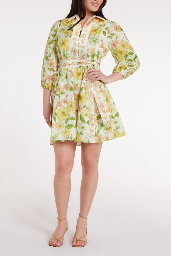 Halle Mini Dress in Sights of Springs